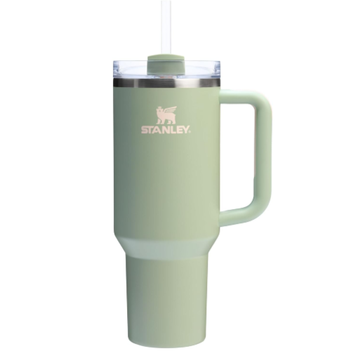 stanley quencher tumbler lichen